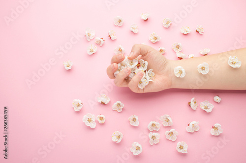 Spa natural skin care products concept. Spring flowers in woman hand. Apricot blossoms, pink background, copy space.