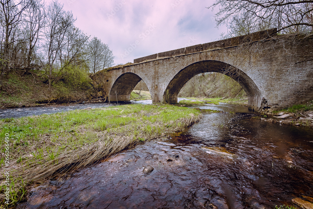 Fototapeta premium bridge over the mountain river in spring
