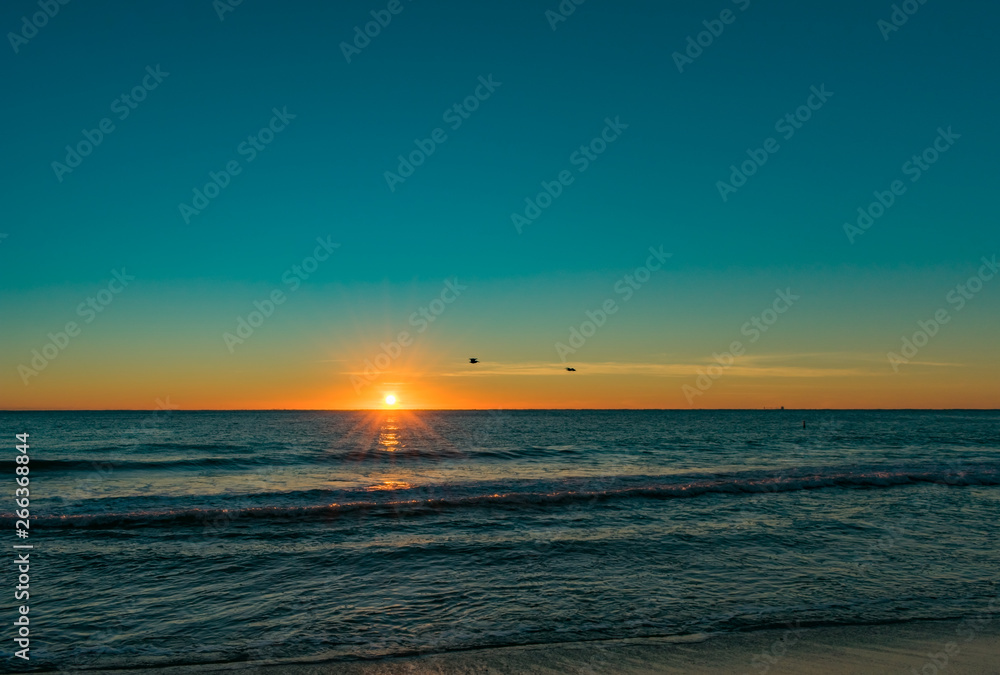 two pelican silhouettes flying in the distance over the ocean at sunrise