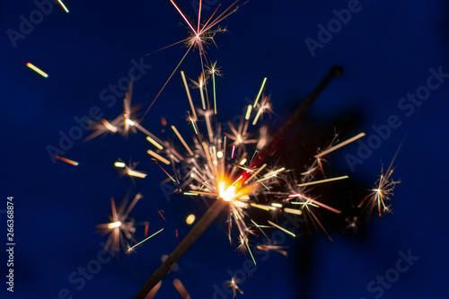 sparkling fireracker with night blue sky and palm tree in the background