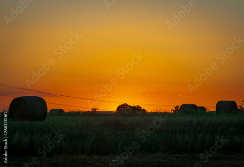 texas orange sunset hay tree silhouette