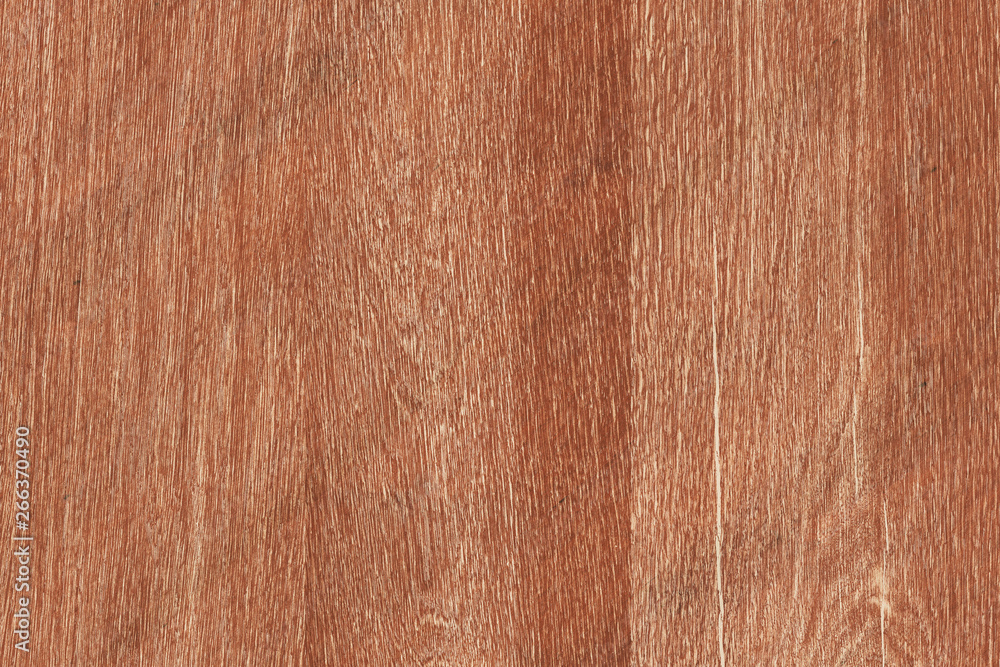 Fototapeta premium old vintage rustic oak wood timber tree wooden surface wallpaper structure texture background