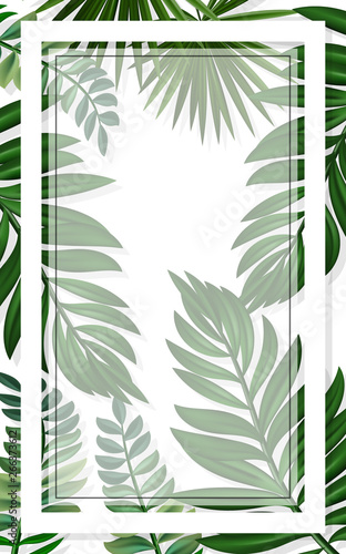 tropical background with jungle plants, palm leaves . Vector exotic frame background with space for text. Eps10 Vector