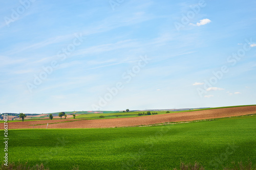 Landscape in spring with fields full of brown and green colors © Nedrofly