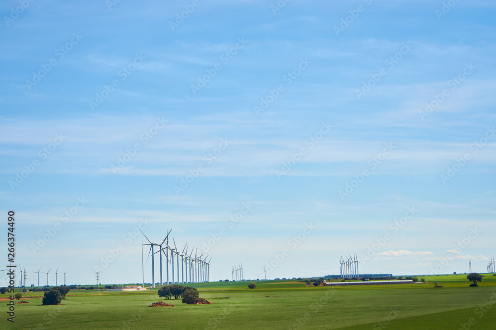 Obraz premium Landscape of windmills in spring with fields full of brown and green colors
