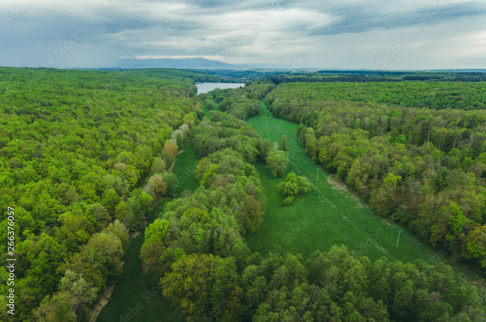 Drone aerial image of nature (forest) with green trees with village and lake (pond) on background - springtime.  Forest from above with small city and reservoir on background and clouds on sky.