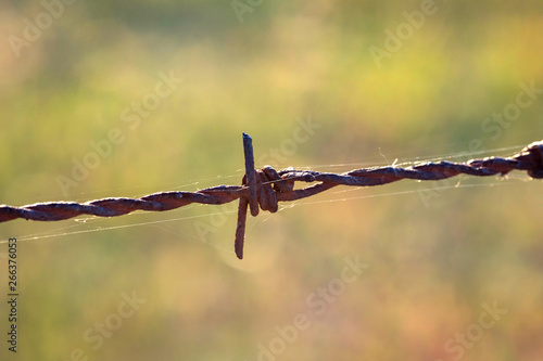Wire fence close up