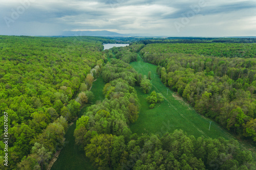 Drone aerial image of nature (forest) with green trees with village and lake (pond) on background - springtime. Forest from above with small city and reservoir on background and clouds on sky.