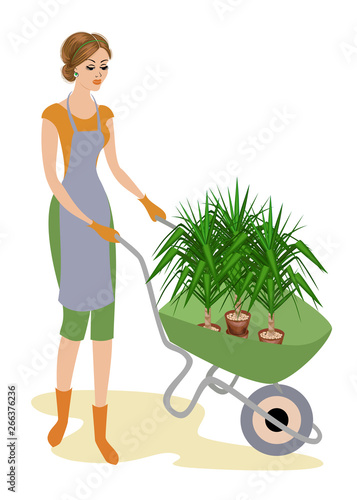 A nice lady in work clothes. The girl is carrying a garden wheelbarrow with flowerpots with a yucca plant. A woman works as a gardener in a garden or conservatory. Vector illustration