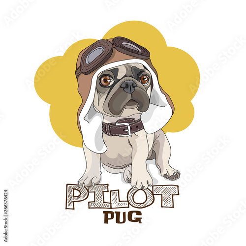 Puppy Pug in a leather pilot hat on a yellow background. Vector illustration.