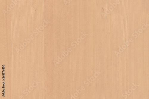 Fototapeta Naklejka Na Ścianę i Meble -  vintage rose tree timber wood texture wallpaper background  backdrop