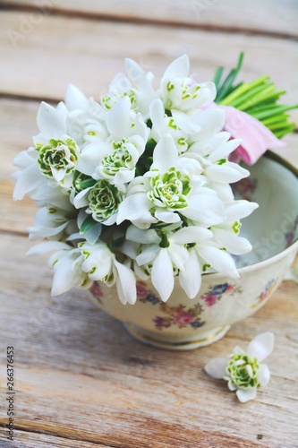 Schneeglöckchen Blumenstrau...