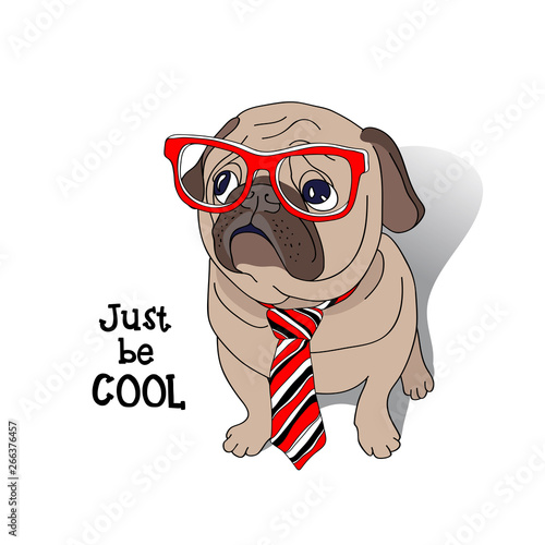 Funny cartoon pug puppy in a red glasses and in a striped tie. Vector illustration.