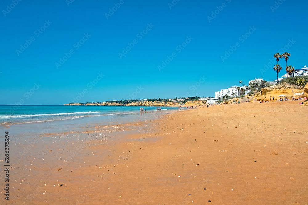 The beach in Armacao de Pera in the Algarve Portugal The beach in Armacao de Pera in the Algarve Portugal
