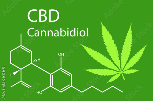 CBD oil vector background with chemical formula and marijuana leaf 