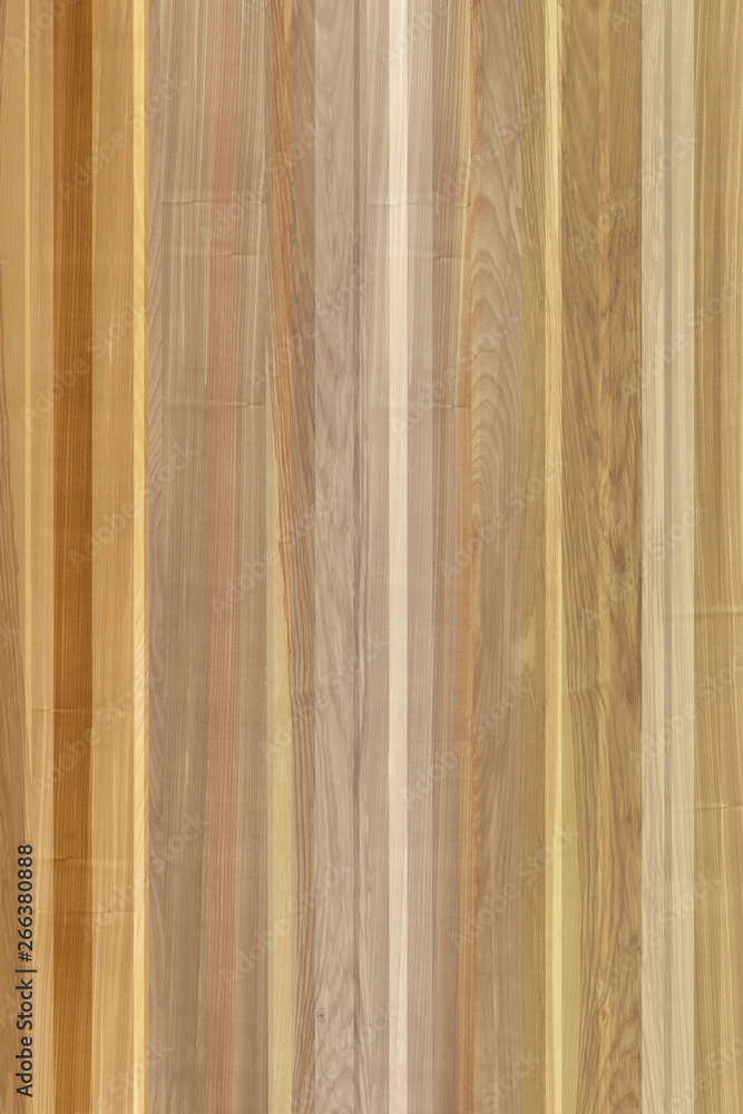 Fototapeta premium colored panel timber tree wooden wallpaper structure texture background high size