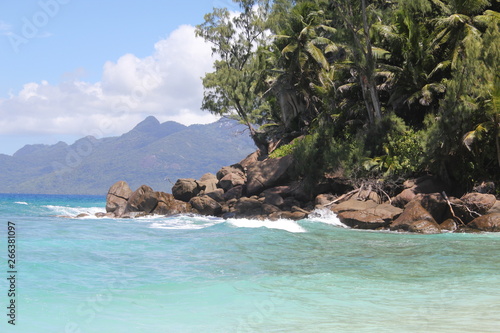 seychelles beach private island coconut