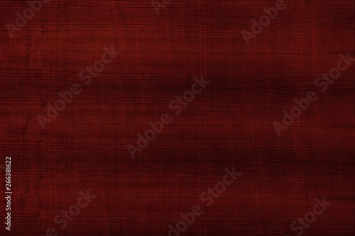 dark brown walnut timber tree wooden surface structure texture background