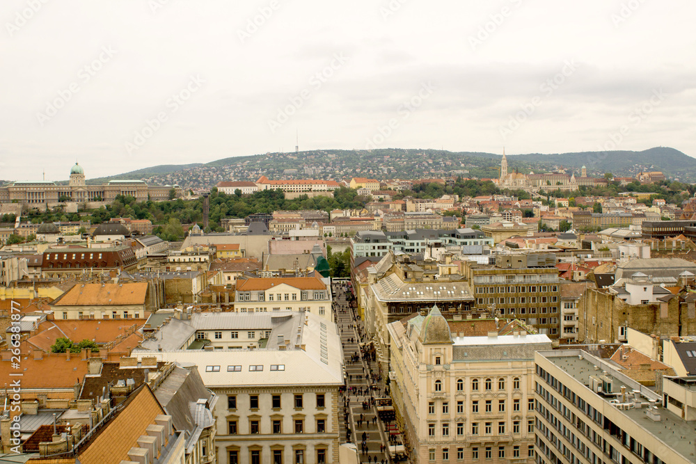 Panoramic view of the city streets.Budapest. Hungary.
