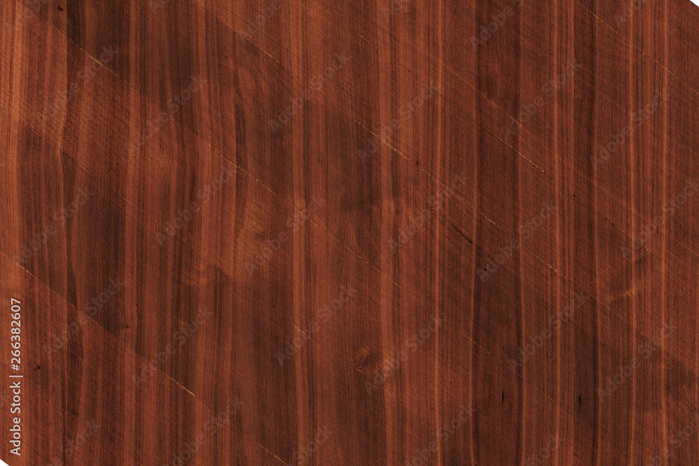 acacia timber tree wooden surface wallpaper structure texture background acacia timber tree wooden surface wallpaper structure texture background