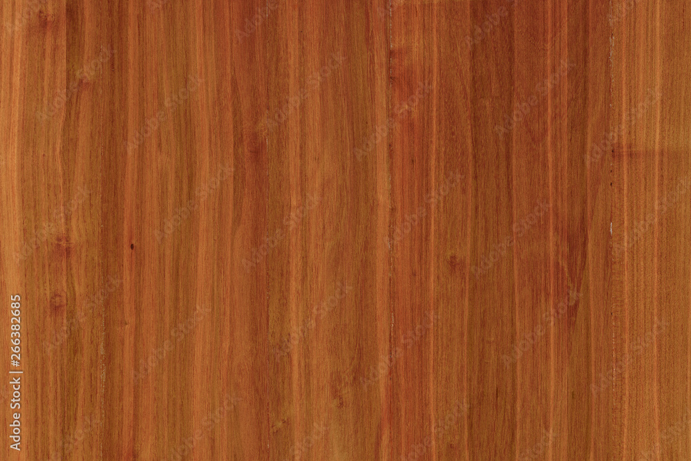 Naklejka premium acacia timber tree wooden surface wallpaper structure texture background