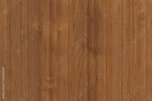 acacia timber tree wooden surface wallpaper structure texture background