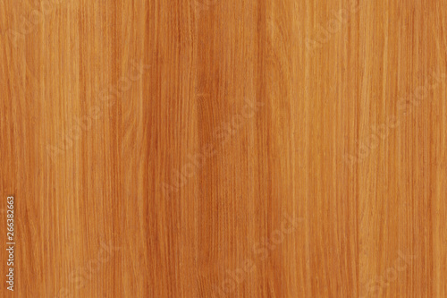 acacia timber tree wooden surface wallpaper structure texture background