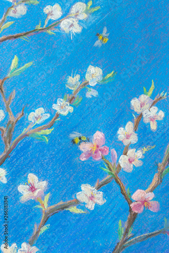 Part of painting pastel on paper "Blooming branches against the blue sky. Spring". bees fly over flowers. Decoration for interior .