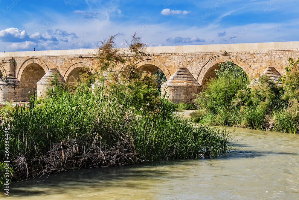 View of Roman bridge of Cordoba (1st century BC) across Guadalquivir River. Present structure of bridge dates from Moorish reconstruction in VIII century. Historic centre of Cordoba, Andalusia, Spain