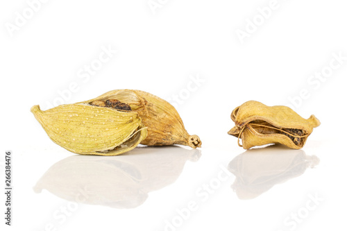 Group of three whole dry true cardamom pod isolated on white background photo