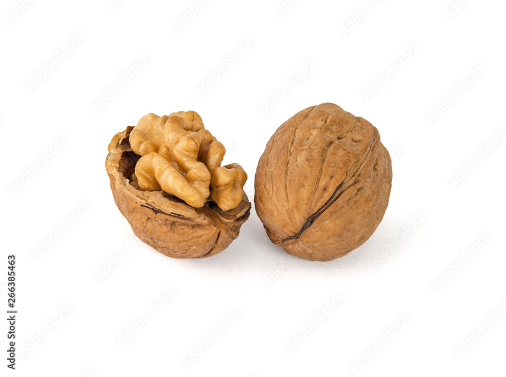 A pair of shelled walnuts look very similar to the convolutions of the brain A pair of shelled walnuts look very similar to the convolutions of the brain