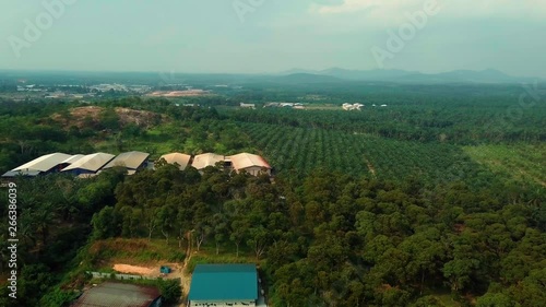 Palm oil plantation aerial view, Bakri, Malaysia photo