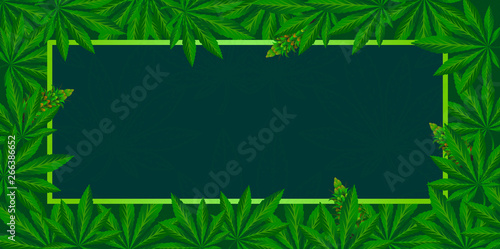 Green cannabis leaf Background vector illustration.