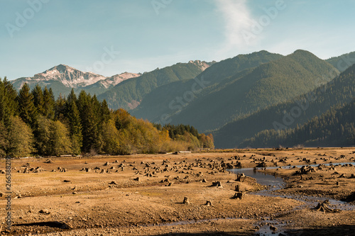 Dry Baker Lake with tree stumps into the ground that water has left visible with mountains and forest in the background