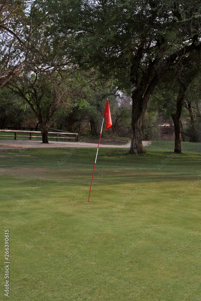 Obraz premium golfer on the golf course