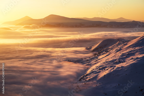 Beautiful sunset shine enlightens the picturesque landscapes with fair trees covered with snow and high mountains. Frosty foggy day, gorgeous wintry scene. Location place Carpathian national park.