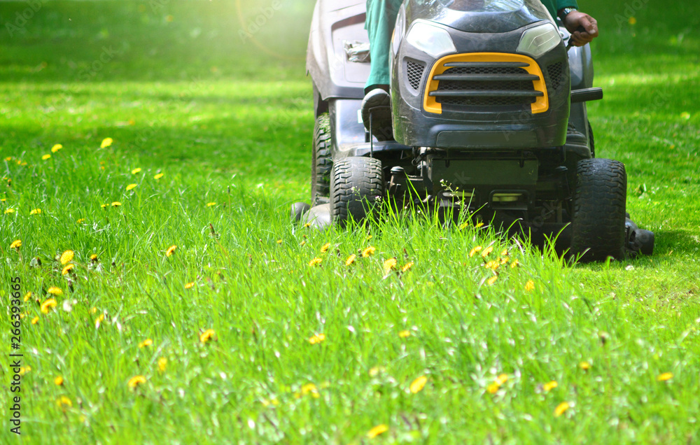 Trimming green grass with lawn mower, copy space Trimming green grass with lawn mower, copy space