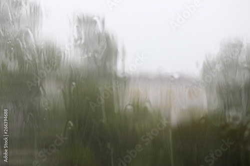 Water flows down the wet glass on the background of blurred trees and houses - autumn rainy urban landscape, texture for backdrop