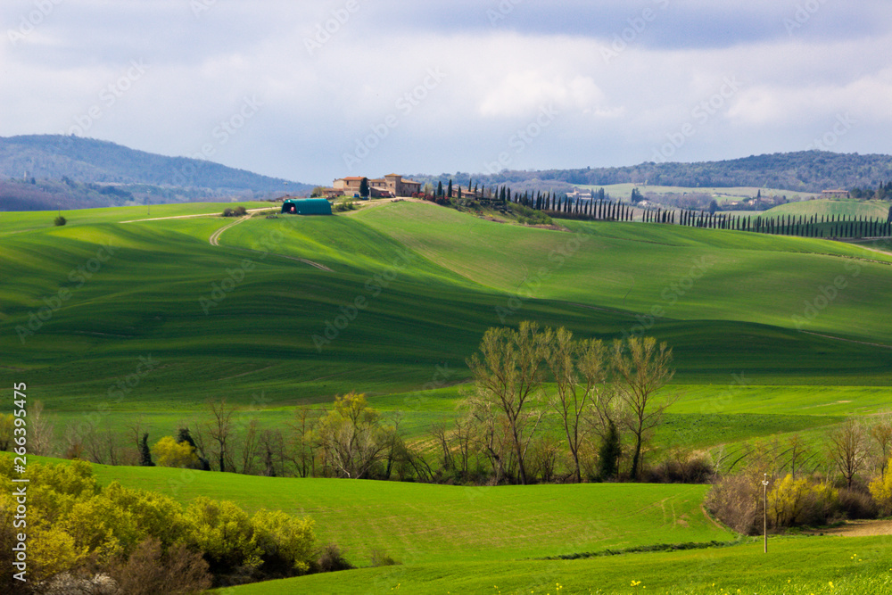 Crete Senesi green hills in Tuscany