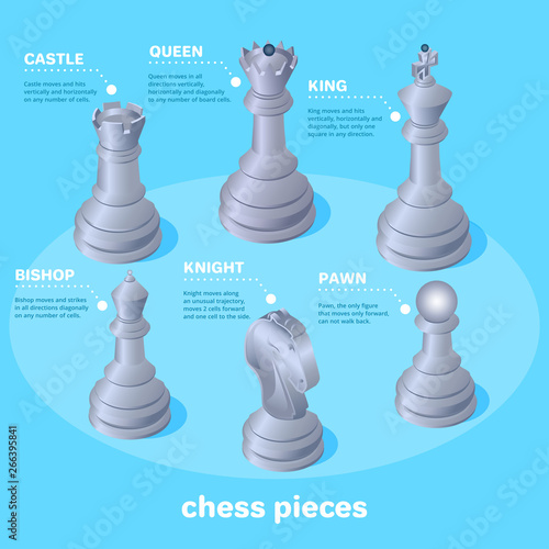 isometric vector image on a blue background, chess pieces and their names, school of chess