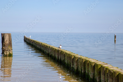 Groynes in the Baltic Sea with small waves in the seaside resort of Zempin on the island of Usedom