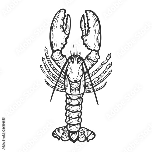Lobster sea animal sketch engraving vector illustration. Scratch board style imitation. Black and white hand drawn image.