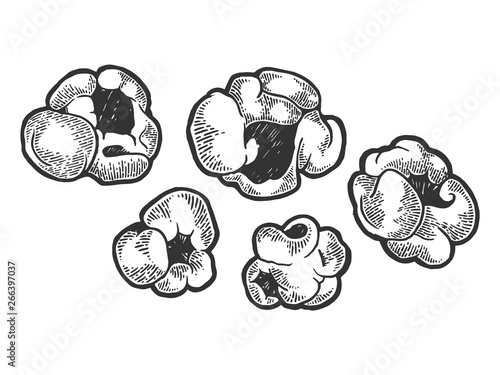 Popcorn food sketch engraving vector illustration. Scratch board style imitation. Black and white hand drawn image.