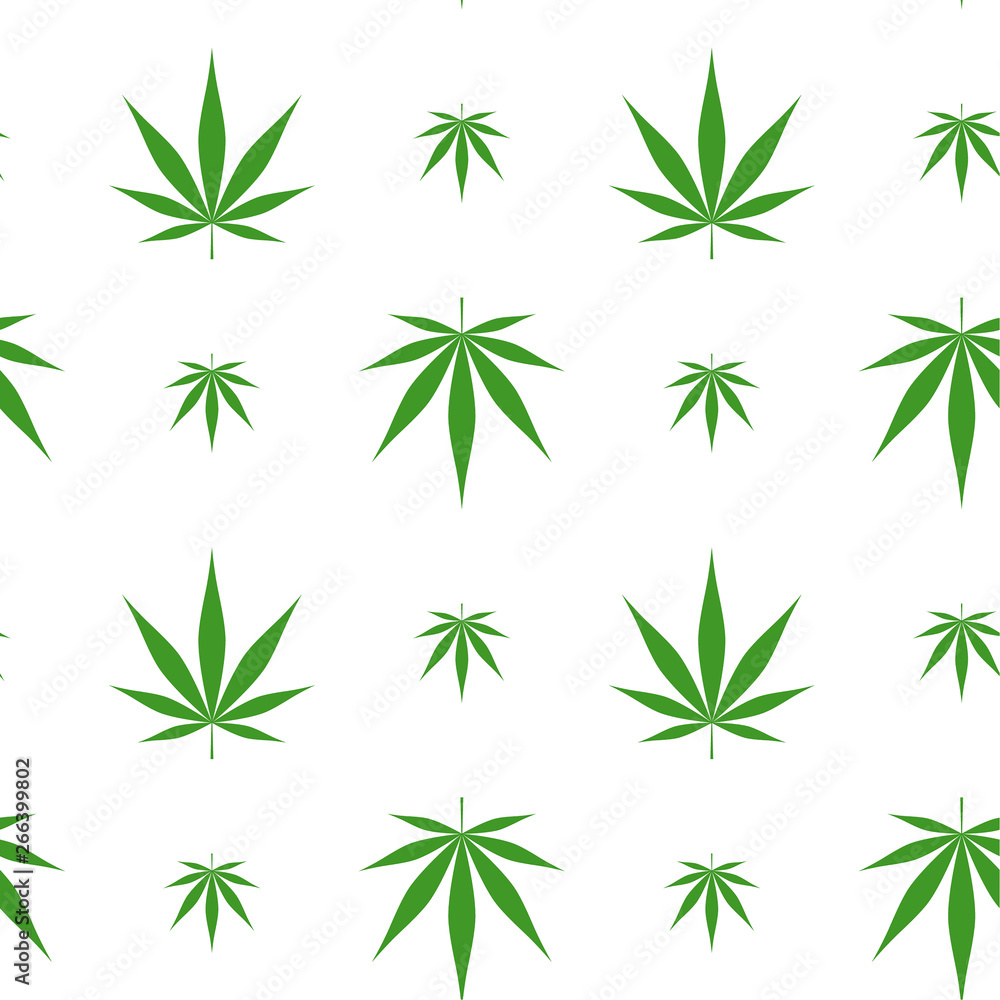 Fototapeta premium Vector seamless pattern with marijuana leaf, cannabis.