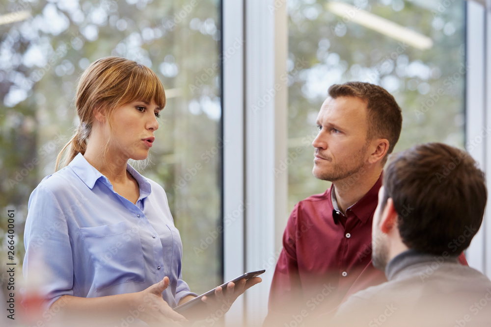 Businesswoman Discussing With Male Executives Businesswoman Discussing With Male Executives
