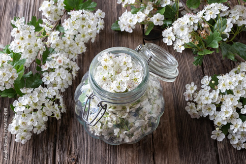 Fototapeta Preparation of tincture from fresh hawthorn flowers