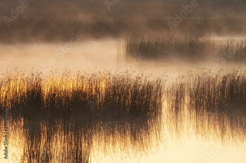 Foggy morning on the lake