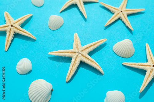Composition with starfishes and seashells on color background, closeup