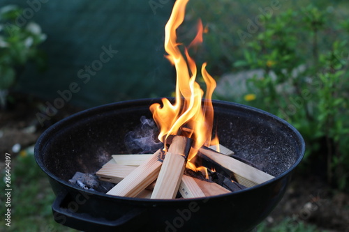 Flammes barbecue