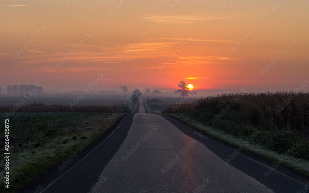 Road in the sunset